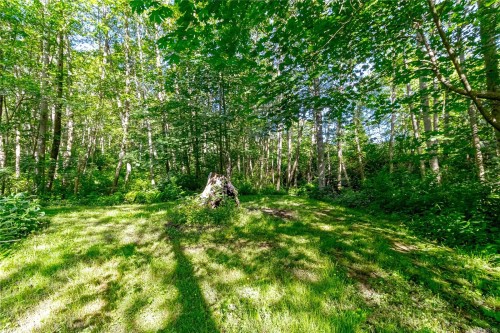 3401 River Rd, Chemainus, BC 