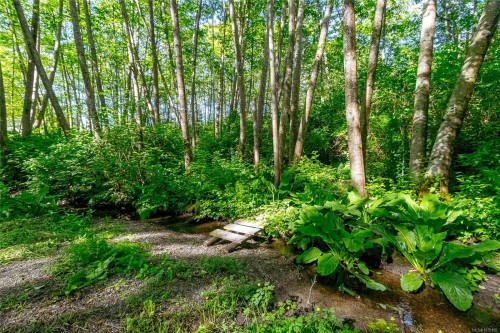 3401 River Rd, Chemainus, BC 