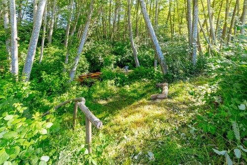 3401 River Rd, Chemainus, BC 
