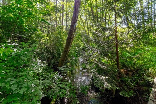 3401 River Rd, Chemainus, BC 