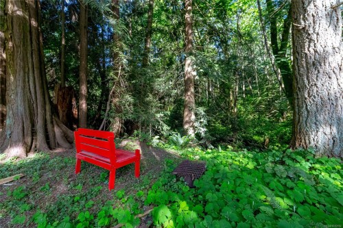 3401 River Rd, Chemainus, BC 