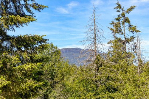 3401 River Rd, Chemainus, BC 