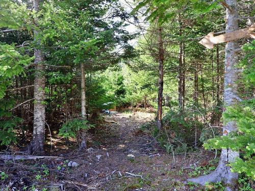 9054 East Bay Highway, Middle Cape, NS 