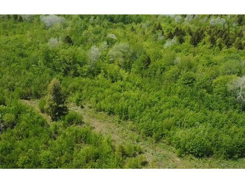 93A Junction Road, Springhill, NS 