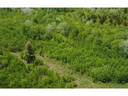 93A Junction Road Springhill, NS B0M 1X0