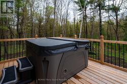 Hot Tub off the Primary Bedroom - 