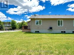 Large Backyard - 