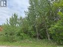 Larose Acreage, Torch River Rm No. 488, SK 