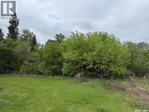 Larose Acreage, Torch River Rm No. 488, SK 