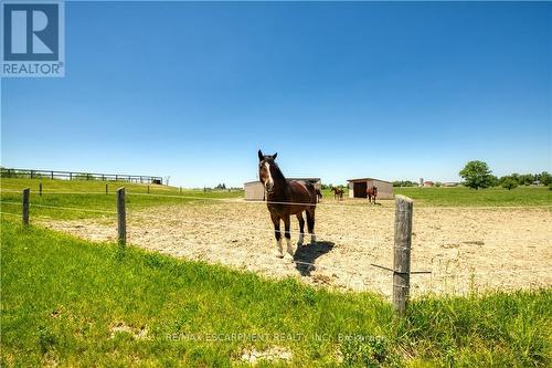 174 Painter Road, Brant, ON 