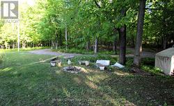 Camp Fire Area - 