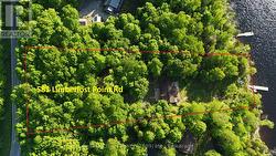 Spacious 2.2 acre Lot - 