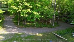 Convenient Circular Driveway with lots of parking - 
