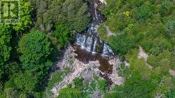 Jones Falls and conservation area across road - 