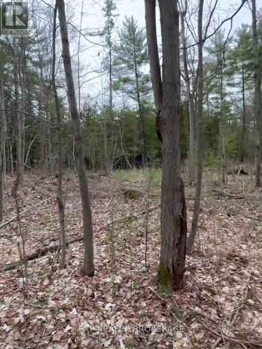 7666 Highway 38 Road, Frontenac (Frontenac South), ON 