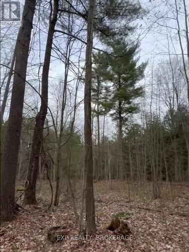 7666 Highway 38 Road, Frontenac (Frontenac South), ON 
