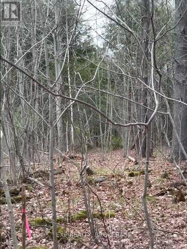 7666 Highway 38 Road, Frontenac (Frontenac South), ON 
