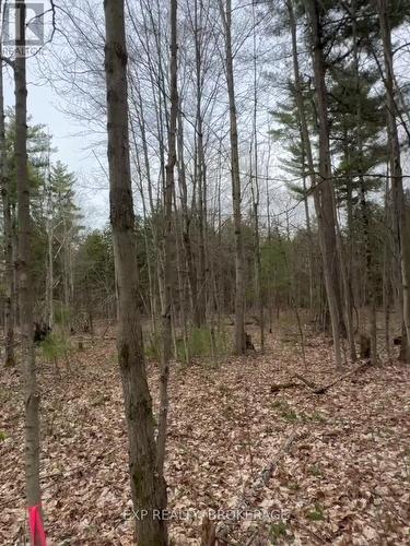 7666 Highway 38 Road, Frontenac (Frontenac South), ON 