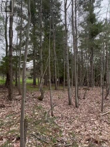 7666 Highway 38 Road, Frontenac (Frontenac South), ON 