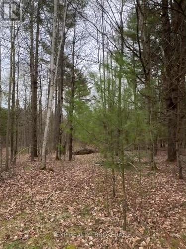 7666 Highway 38 Road, Frontenac (Frontenac South), ON 
