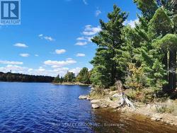 157 LAKE VISION ROAD Mcmurrich/Monteith, ON P0A 1P0