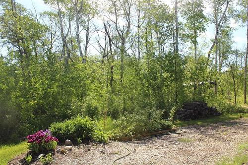 View of the east side of the yard....raspberry plants, perennials, trees!! - 7 Dalvik Road, Gimli Rm, MB 