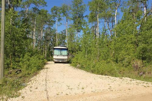 Driveway on Dalvic Road. There is an RV plug in. - 7 Dalvik Road, Gimli Rm, MB 