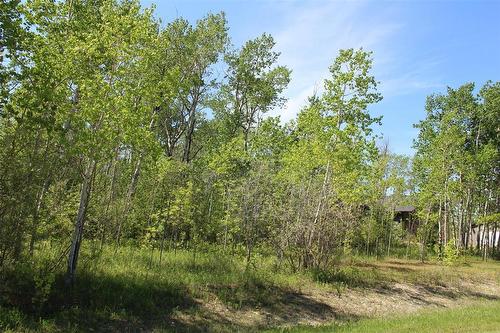 A view of the property from the road. - 7 Dalvik Road, Gimli Rm, MB 