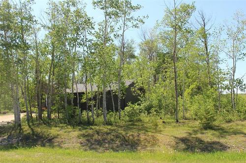 A view of the property from the corner of the road. So many trees provide nice privacy. - 7 Dalvik Road, Gimli Rm, MB 