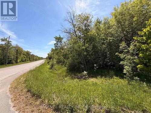 7509 Baldwin Lane, Ramara, ON 