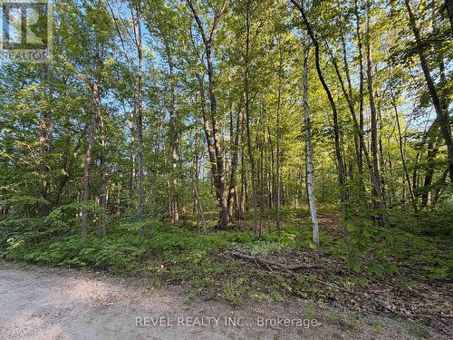 7509 Baldwin Lane, Ramara, ON 