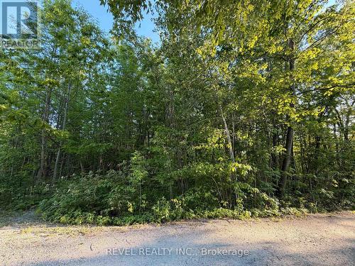 7509 Baldwin Lane, Ramara, ON 