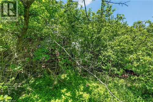 8720 W Silver Street, Caistor Centre, ON 