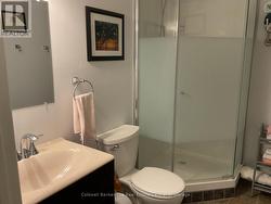 Basement Bathroom - 