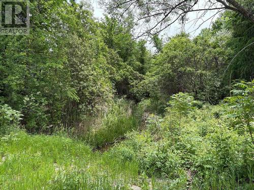 Small creek at the back of the property. - 45 Turtle Point Private, Ottawa, ON 