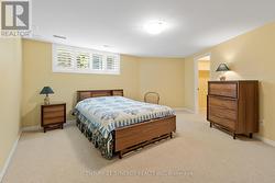 Basement Bedroom with walk in closet. - 