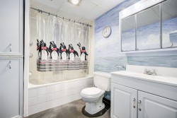 Salle de bains - 