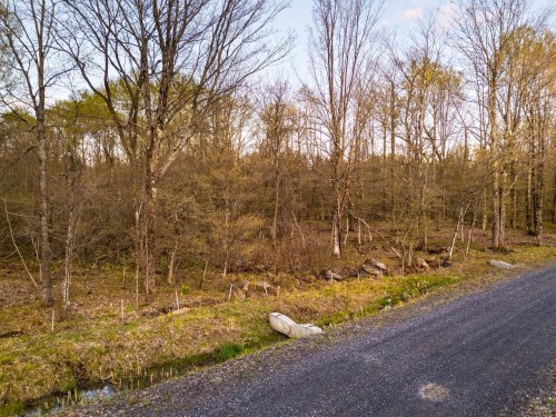 Terre/Terrain - 1-210 Rue De Louis-Hébert, Bromont, QC 
