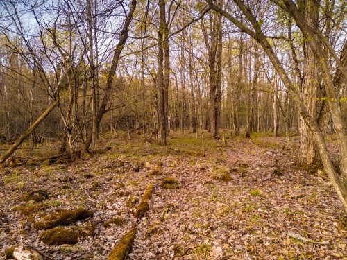 Terre/Terrain - 1-210 Rue De Louis-Hébert, Bromont, QC 