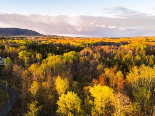 Photo aérienne - 1-210 Rue De Louis-Hébert, Bromont, QC 