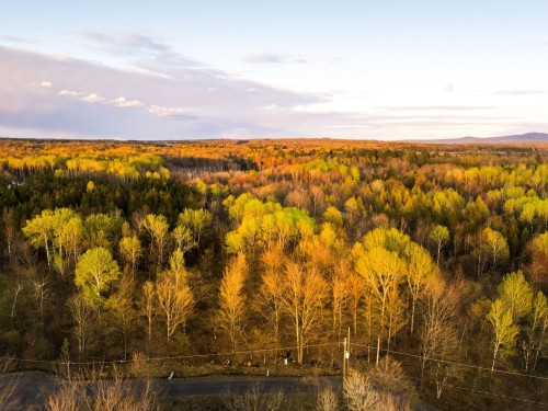 Photo aérienne - 1-210 Rue De Louis-Hébert, Bromont, QC 