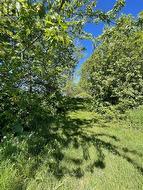 00 10TH LINE ROAD Frontenac Islands (Wolfe Island), ON K0H 2Y0
