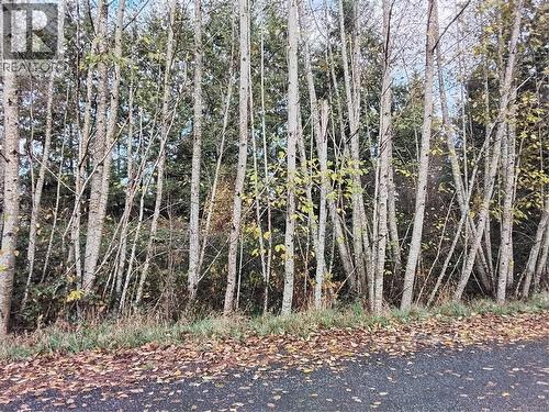 Lot E Tatton Rd, Courtenay, BC 