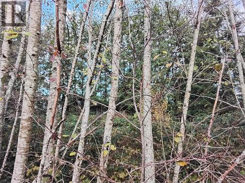 Lot E Tatton Rd, Courtenay, BC 