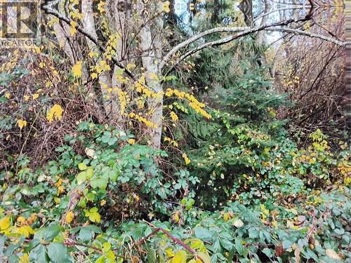 Lot E Tatton Rd, Courtenay, BC 