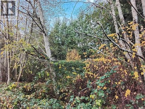Lot E Tatton Rd, Courtenay, BC 