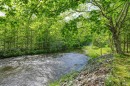 Vue sur l'eau - 190  - 195 Ch. De La Petite-Mékinac, Saint-Tite, QC 