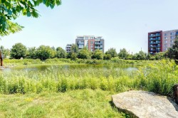 Nearby - 