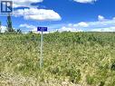 12 Ranch Road, White Sands, AB 