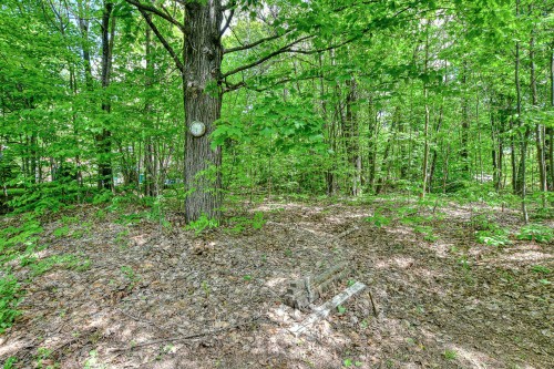 Terre/Terrain - 30 Rue Langlois, Saint-Hippolyte, QC 